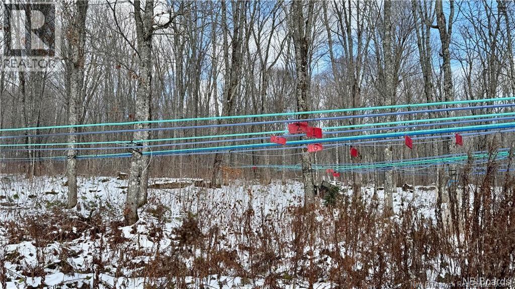 Na Woods Road, Kedgwick, New Brunswick E8B 1H1 - Photo 25 - NB130690