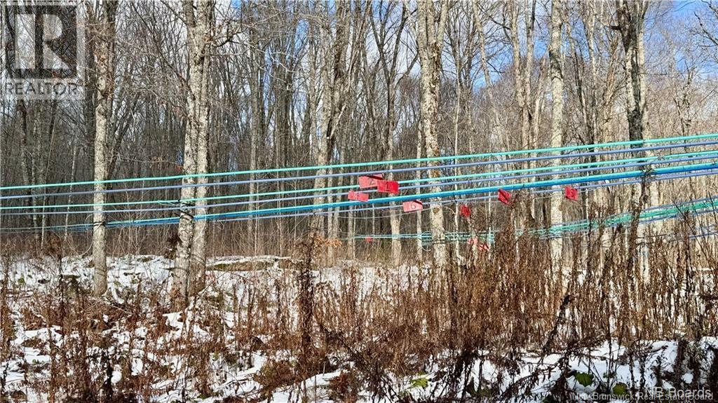 NA Woods Road, Kedgwick, New Brunswick