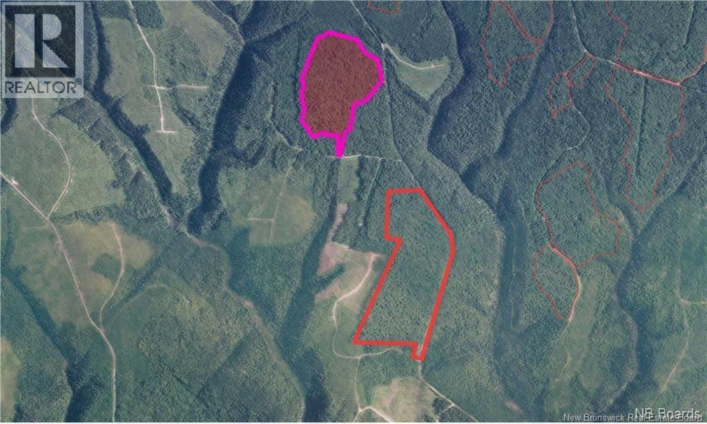 Na Woods Road, Kedgwick, New Brunswick E8B 1H1 - Photo 4 - NB130689