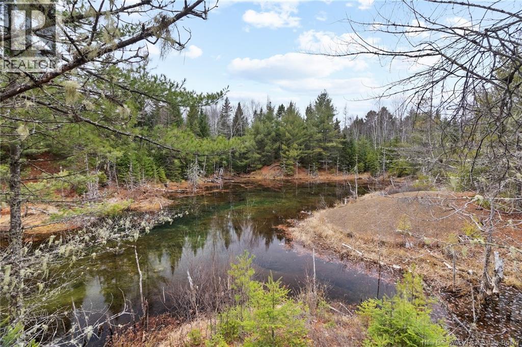 8353 Route 10, Cumberland Bay, New Brunswick  O0O 0O0 - Photo 11 - NB130729