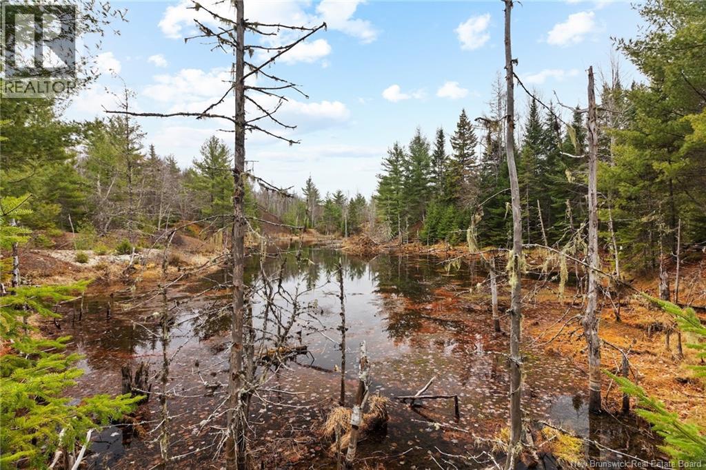 8353 Route 10, Cumberland Bay, New Brunswick  O0O 0O0 - Photo 12 - NB130729
