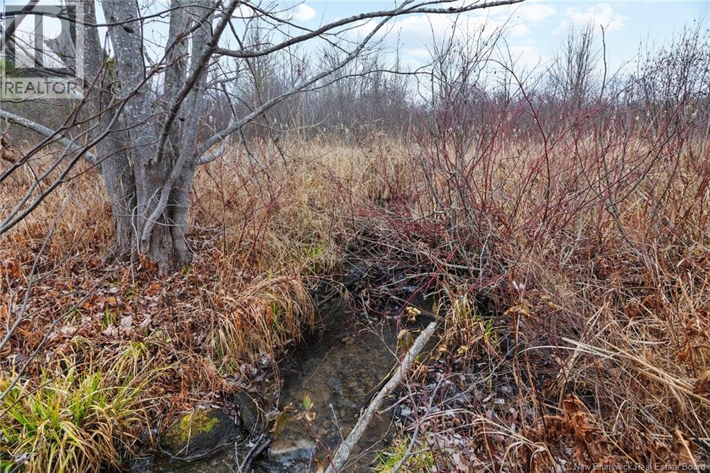 8353 Route 10, Cumberland Bay, New Brunswick  O0O 0O0 - Photo 26 - NB130729