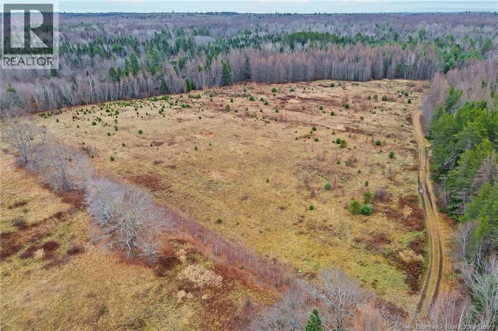 8353 Route 10, Cumberland Bay, New Brunswick  O0O 0O0 - Photo 34 - NB130729