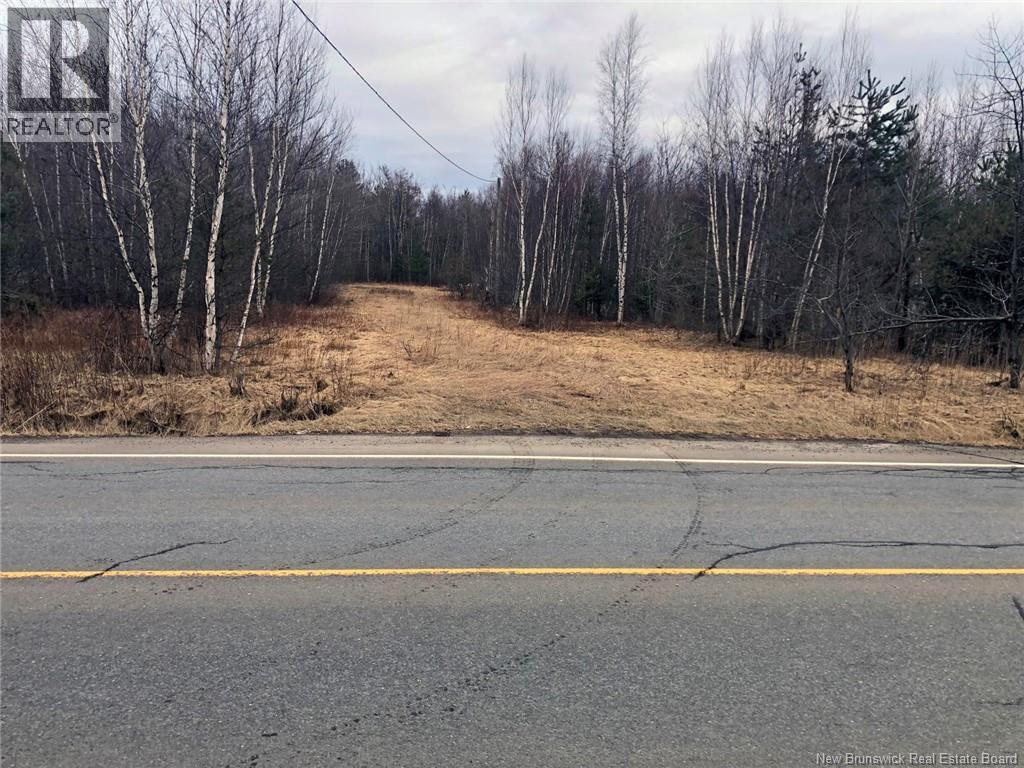 320 Pleasant Drive, Minto, New Brunswick O0O 0O0 - Photo 3 - NB130779