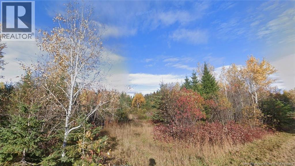 Lot Laurenzo Huard Street, Saint-Jean-Baptiste-De-Restigouche, New Brunswick E8B 1Y6 - Photo 2 - NB130806