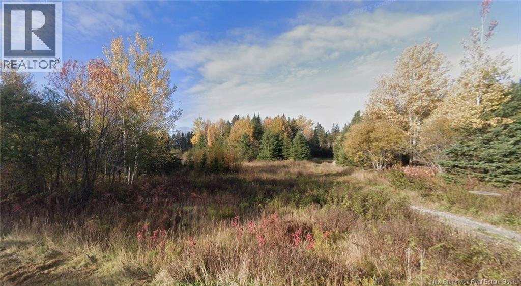 Lot Laurenzo Huard Street, Saint-Jean-Baptiste-De-Restigouche, New Brunswick E8B 1Y6 - Photo 3 - NB130806