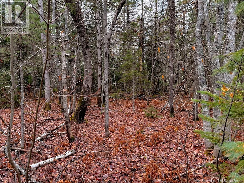 Wellington Street, Loggieville, New Brunswick  E1N 4N3 - Photo 8 - NB130436