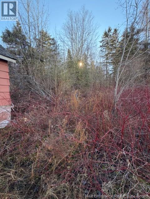 400 Flume Ridge Road, Flume Ridge, New Brunswick E6K 2B8 - Photo 3 - NB130904