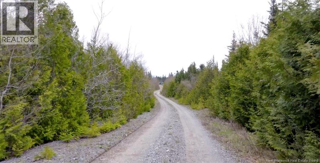 Downeast Drive, Rothesay, New Brunswick  E2G 1W3 - Photo 6 - NB131020