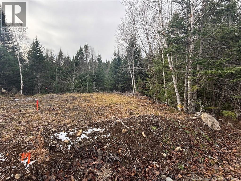 25-3 Spruce Lane, Damascus, New Brunswick