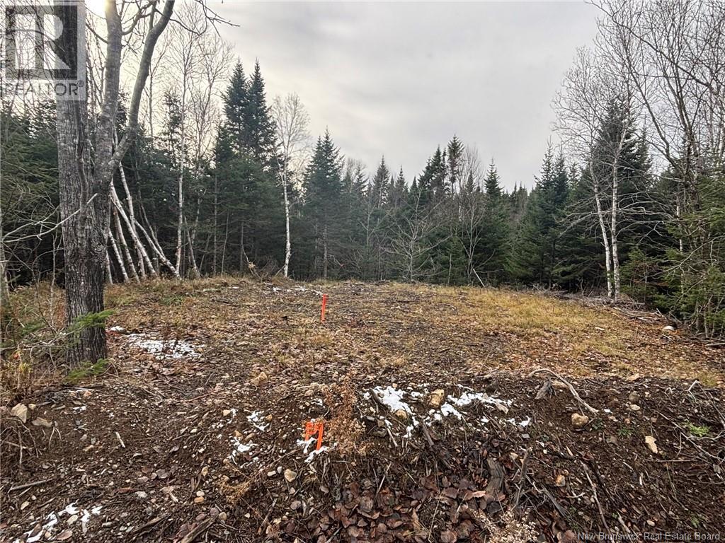 25-3 Spruce Lane, Damascus, New Brunswick E5N 4B7 - Photo 2 - NB130156