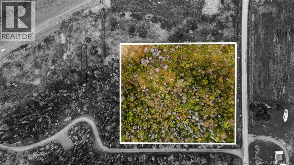 1.08hec Ch De La Tourbiere, Pokesudie, New Brunswick  E1W 5T7 - Photo 1 - NB131046