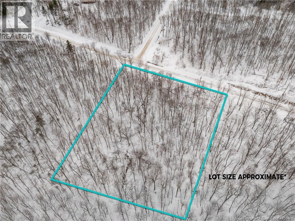 Lot Terrance Way, Crabbe Mountain, New Brunswick E6E 0B1 - Photo 3 - NB131094