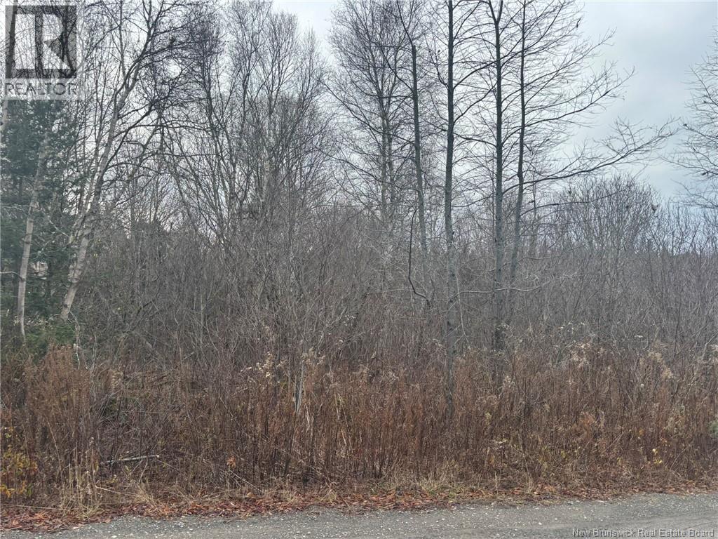 25-4 Spruce Lane, Damascus, New Brunswick  E5N 0P2 - Photo 2 - NB130155