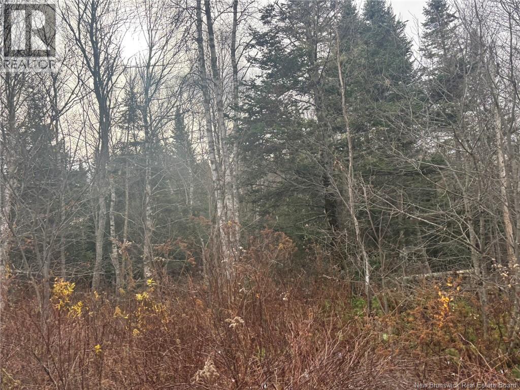 25-4 Spruce Lane, Damascus, New Brunswick  E5N 0P2 - Photo 3 - NB130155