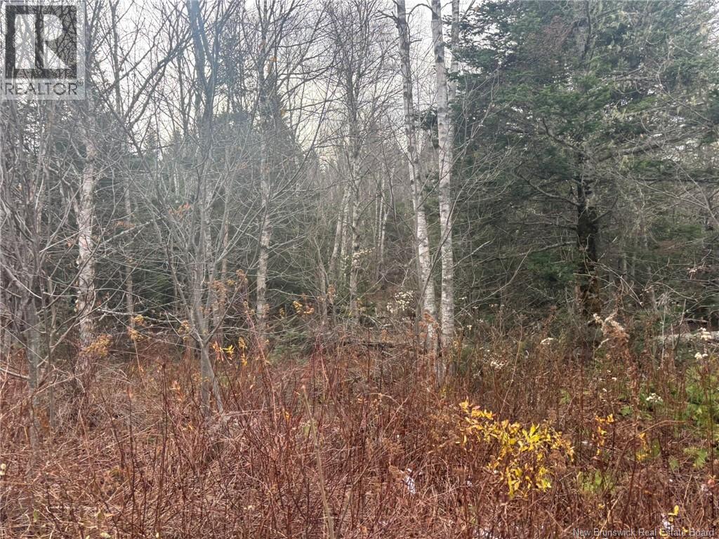 25-4 Spruce Lane, Damascus, New Brunswick  E5N 0P2 - Photo 4 - NB130155