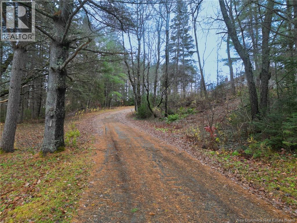 11 Birch Street, Florenceville-Bristol, New Brunswick  E7L 2E7 - Photo 3 - NB131035