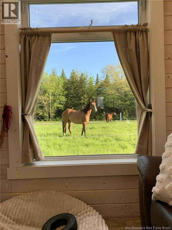 921 Rue Pinet Street, Bertrand, New Brunswick E1W 1L8 - Photo 19 - NB131164