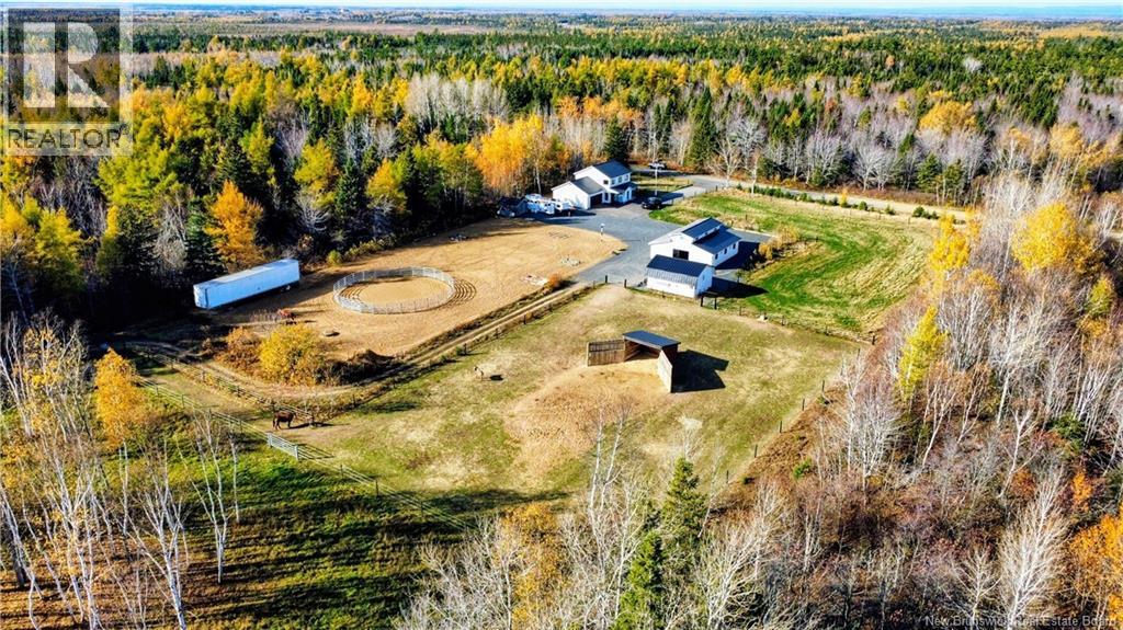 921 Rue Pinet Street, Bertrand, New Brunswick E1W 1L8 - Photo 22 - NB131164