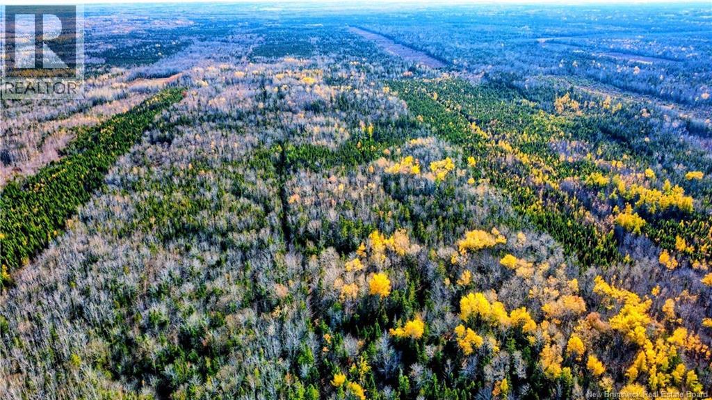 921 Rue Pinet Street, Bertrand, New Brunswick E1W 1L8 - Photo 23 - NB131164
