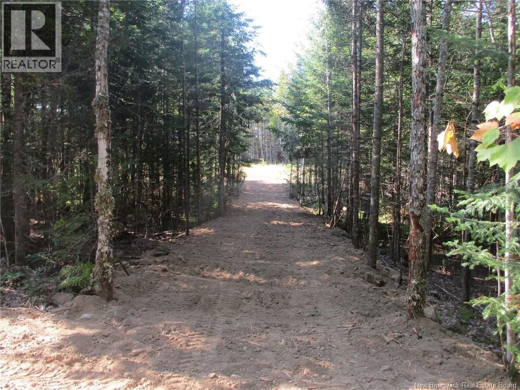 11761 Route 10, Long Creek, New Brunswick E4C 1H3 - Photo 46 - NB131210