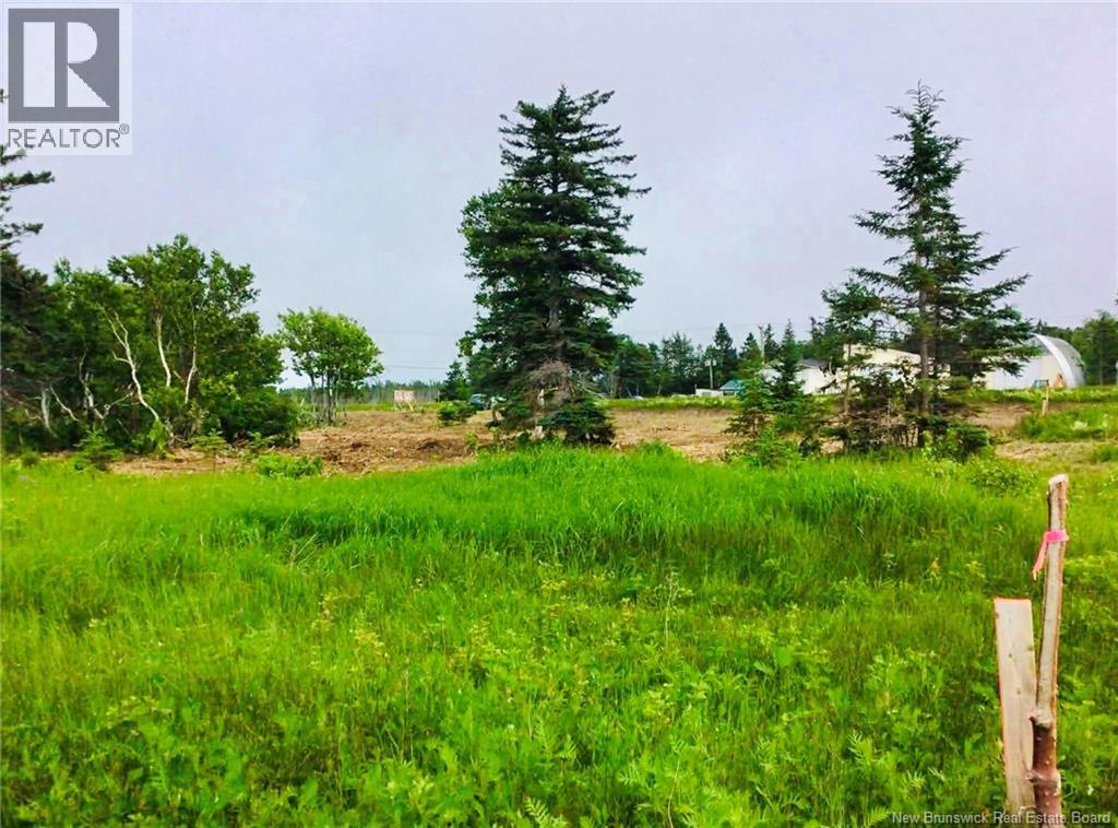 2.9 Acres Route 113, Haut-Lamèque, New Brunswick  E8T 3L4 - Photo 5 - NB131169
