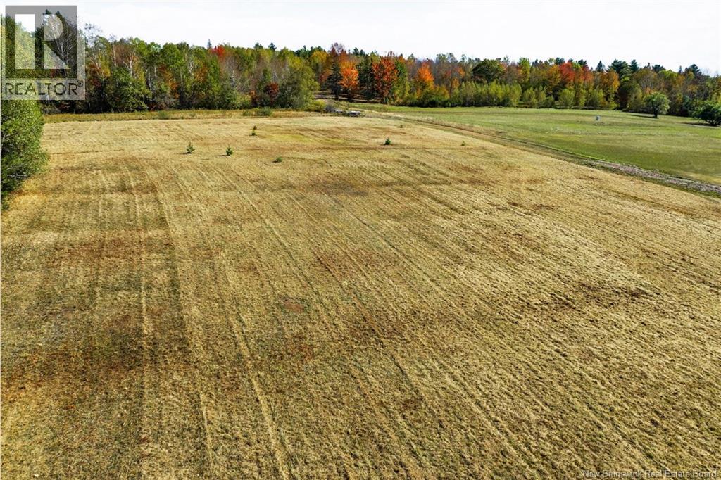/ Scenic Narrows Boulevard (Route 710), Cambridge-Narrows, New Brunswick  O0O 0O0 - Photo 4 - NB131212