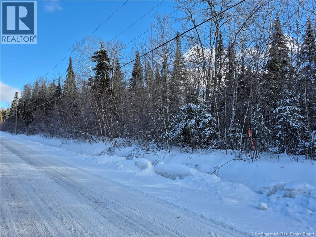 0 Banks Road, Durham Bridge, New Brunswick  E6C 1H4 - Photo 10 - NB131263