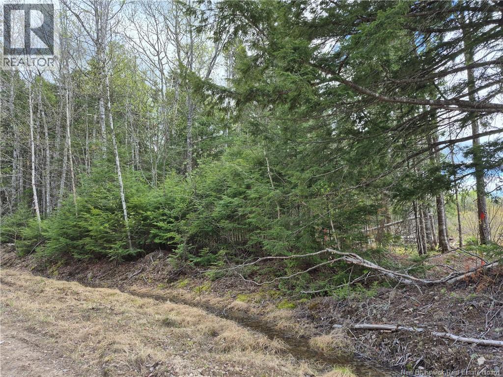 0 Banks Road, Durham Bridge, New Brunswick  E6C 1H4 - Photo 5 - NB131263