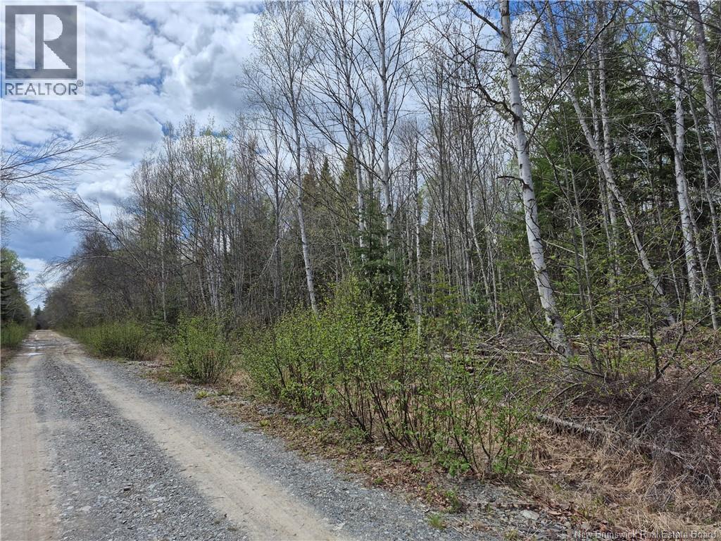 0 Banks Road, Durham Bridge, New Brunswick  E6C 1H4 - Photo 6 - NB131263