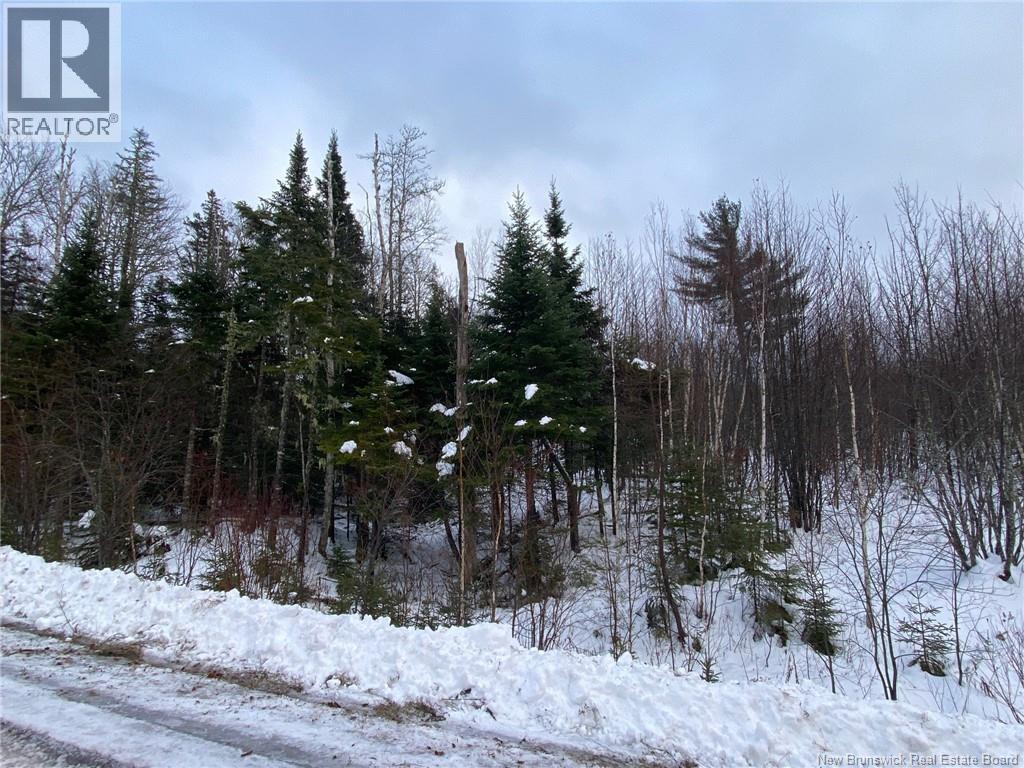 Lot 21-4 Waterway Road, Mcquade, New Brunswick  E1G 5W5 - Photo 5 - NB131224