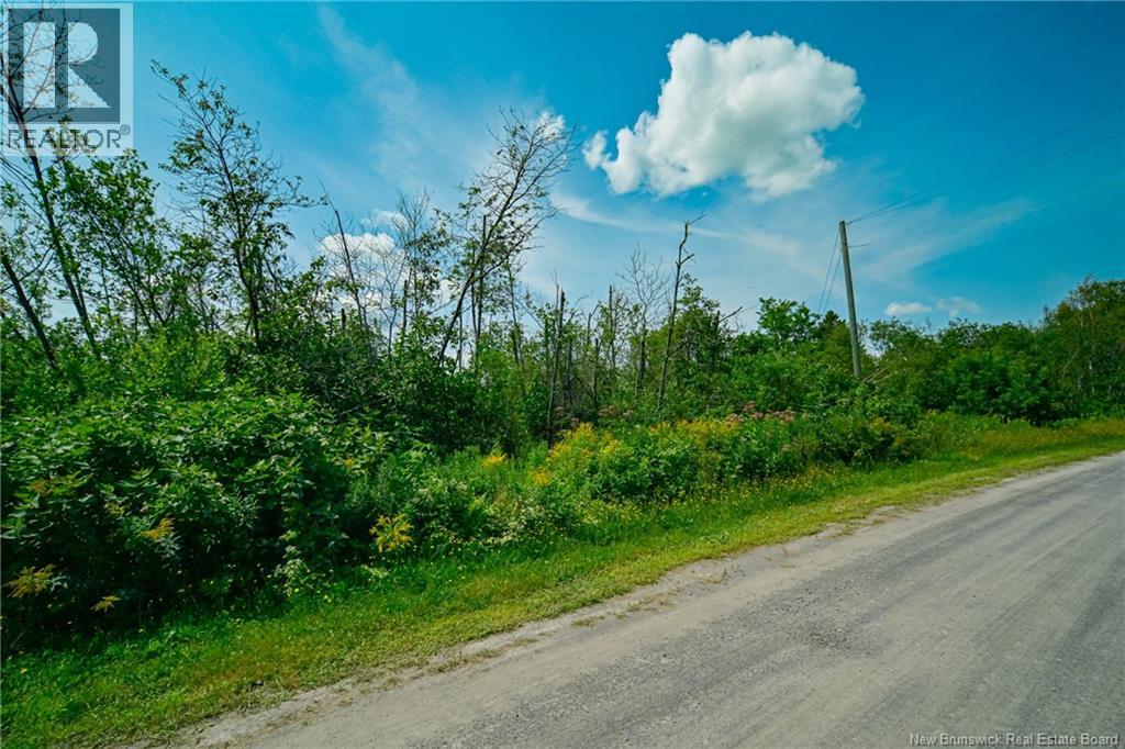 Lot 3 Cnr Road, Saint-Léonard, New Brunswick  E7E 1Z4 - Photo 2 - NB130565