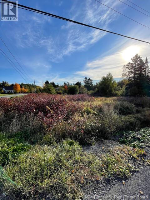16 Leonard Street, Dundee, New Brunswick  E8E 1W7 - Photo 2 - NB131286