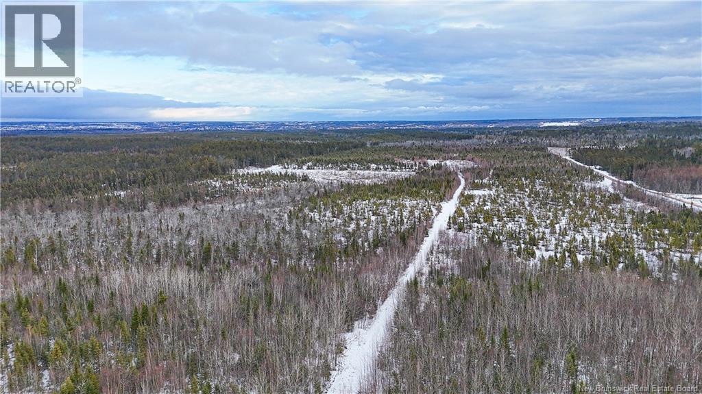 Lot Pine Glen Road, Riverview, New Brunswick  E1J 1R8 - Photo 11 - NB131291