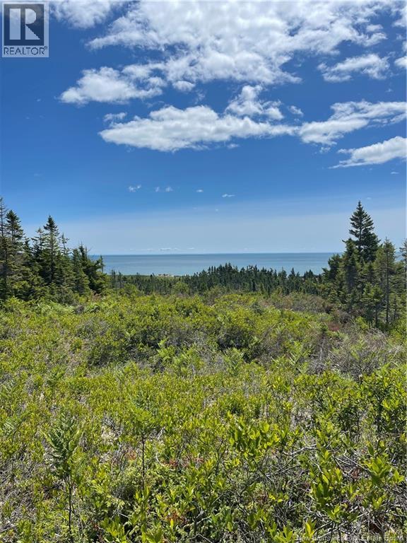 1888 Route 790, Dipper Harbour, New Brunswick E5J 2R2 - Photo 10 - NB131367