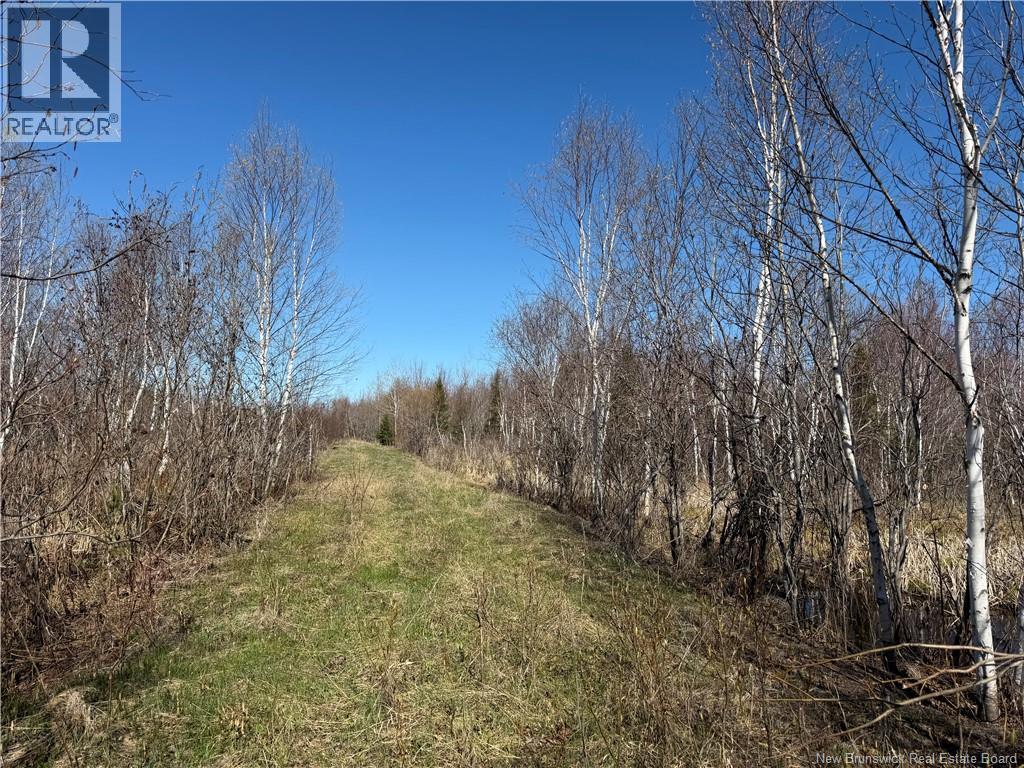 129 Acres 340 Route, Canobie, New Brunswick  E2A 5E7 - Photo 11 - NB131363