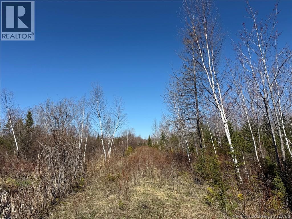 129 Acres 340 Route, Canobie, New Brunswick  E2A 5E7 - Photo 3 - NB131363