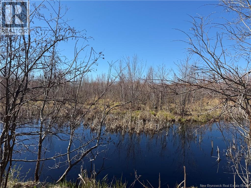 129 Acres 340 Route, Canobie, New Brunswick  E2A 5E7 - Photo 5 - NB131363