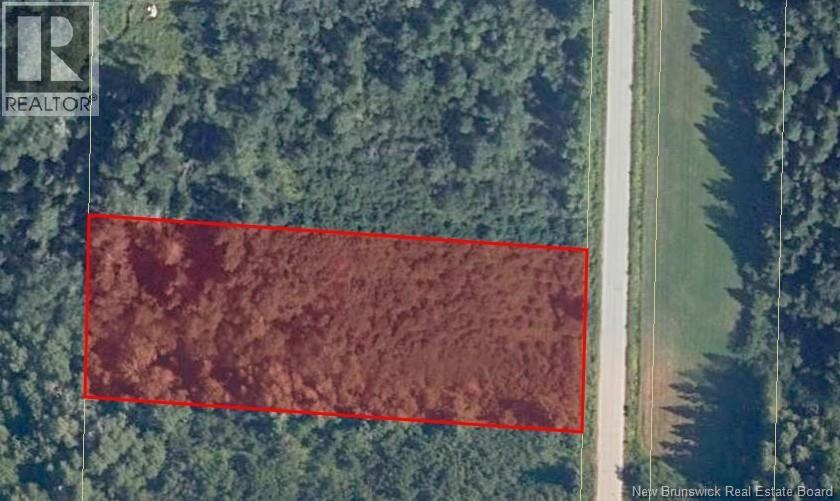 8054 Sqm River Road, Sunny Corner, New Brunswick E9E 1C7 - Photo 2 - NB131297