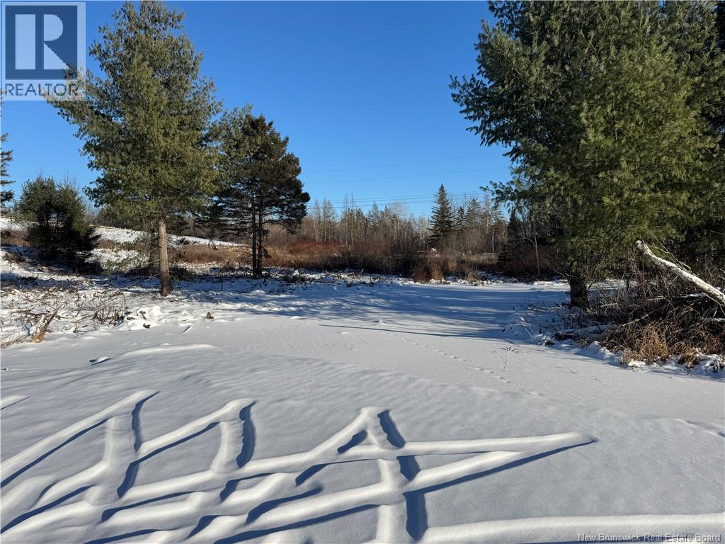 Lot Kingsley Road, Estey's Bridge, New Brunswick E3G 6G8 - Photo 3 - NB131167