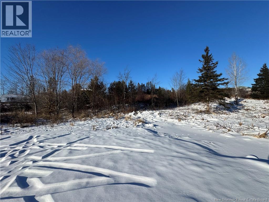Lot Kingsley Road, Estey's Bridge, New Brunswick E3G 6G8 - Photo 4 - NB131167