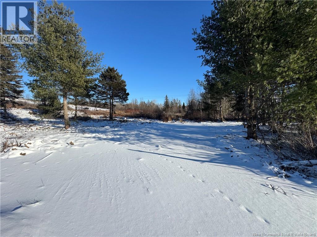 Lot Kingsley Road, Estey's Bridge, New Brunswick E3G 6G8 - Photo 5 - NB131167