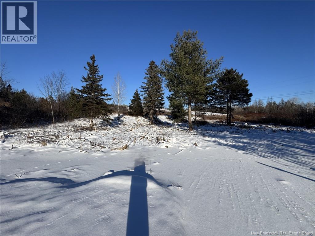 Lot Kingsley Road, Estey's Bridge, New Brunswick E3G 6G8 - Photo 7 - NB131167