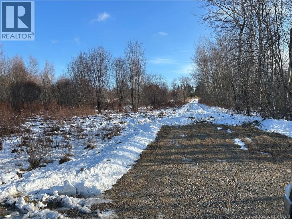 O Resevoir Road, St. Stephen, New Brunswick  E3L 4T4 - Photo 5 - NB131409