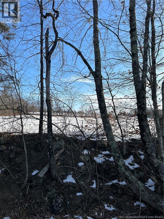 O Resevoir Road, St. Stephen, New Brunswick  E3L 4T4 - Photo 6 - NB131409