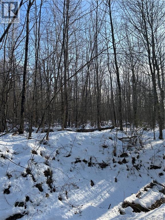 O Resevoir Road, St. Stephen, New Brunswick  E3L 4T4 - Photo 7 - NB131409