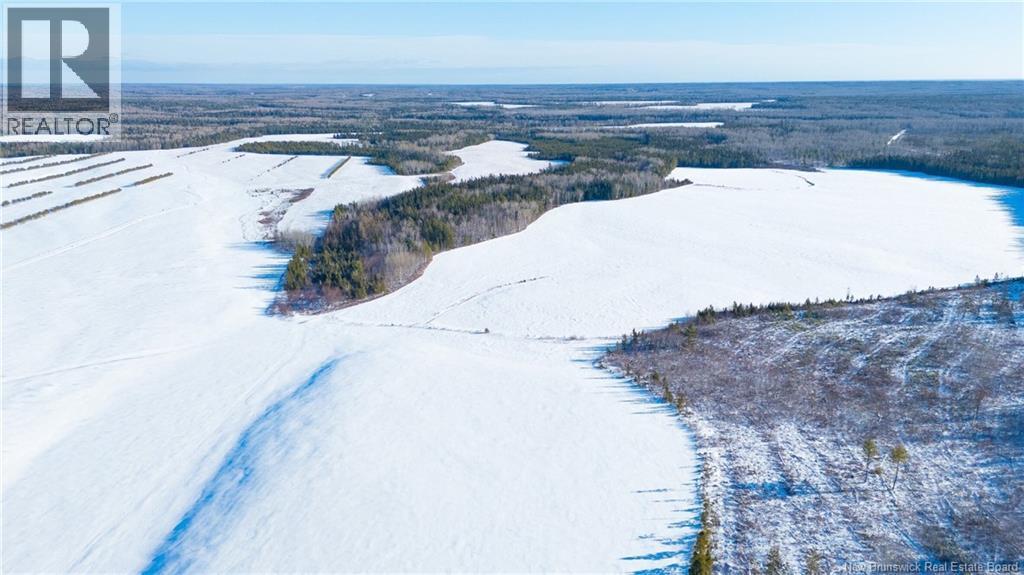 Lot Val-Doucet Road, Val-Doucet, New Brunswick  E8R 1Z5 - Photo 1 - NB131445