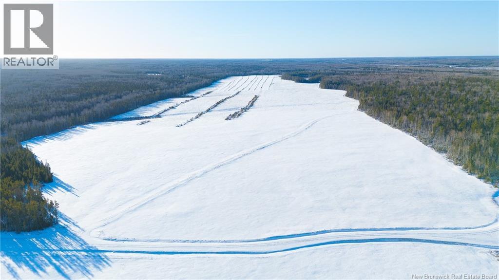 Lot Val-Doucet Road, Val-Doucet, New Brunswick  E8R 1Z5 - Photo 10 - NB131445