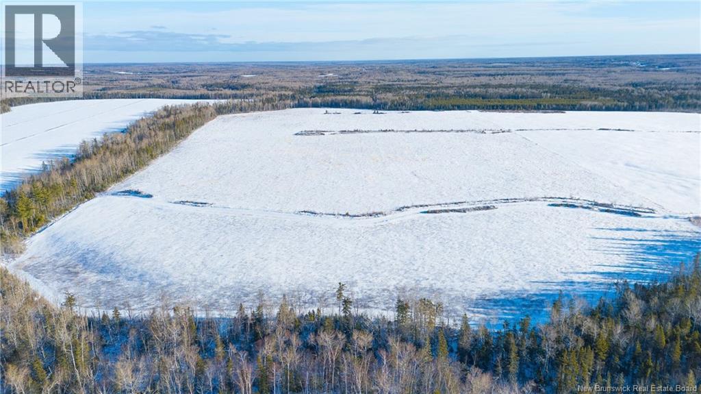 Lot Val-Doucet Road, Val-Doucet, New Brunswick  E8R 1Z5 - Photo 11 - NB131445