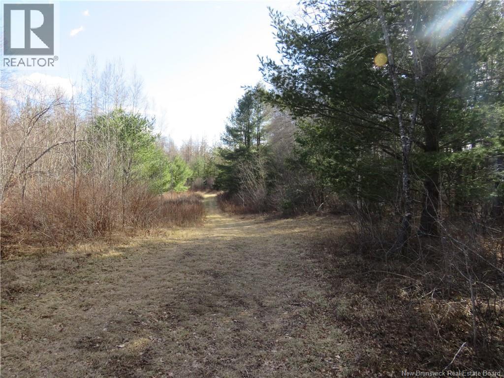 South Oromocto Lake Road, South Oromocto Lake, New Brunswick  E5L 2R9 - Photo 11 - NB131466